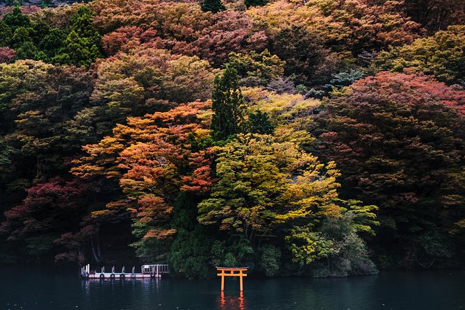 Mt Fuji & Hakone Cruise, Drum Show Bullet Train 1 Day from Tokyo - Hakone Ropeway to Mt Komagatake: the shrine + summit views combo