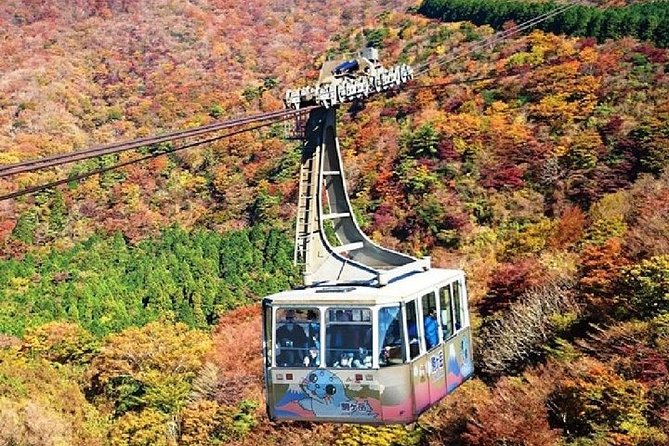 Mt Fuji & Hakone Cruise, Drum Show Bullet Train 1 Day from Tokyo - Shinkansen return from Odawara: fast, efficient, and a little tricky
