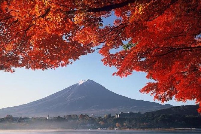 Mt Fuji & Hakone Cruise, Drum Show Bus 1 Day from Tokyo - Lunch at Fuji Zakura Hotel: Food, Tea, and a Wadaiko Moment