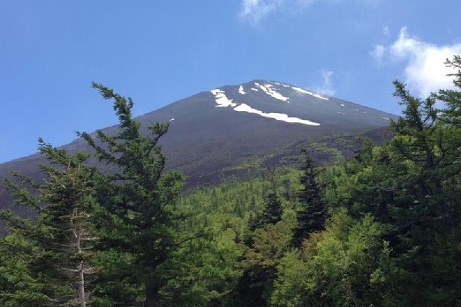 Mt Fuji & Hakone Cruise, Drum Show Bus 1 Day from Tokyo - Komagatake Ropeway: Cable Views and the Hakone Shrine Stop
