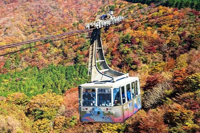 Mt Fuji & Hakone Cruise, Drum Show Bus 1 Day from Tokyo - Weather Flexibility: The Part You Must Plan For