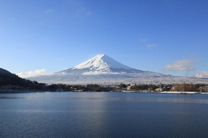 Mt Fuji & Hakone Cruise, Drum Show Bus 1 Day from Tokyo Sta. Area - Lunch at Fuji Zakura Hotel and the Wadaiko Drum Show