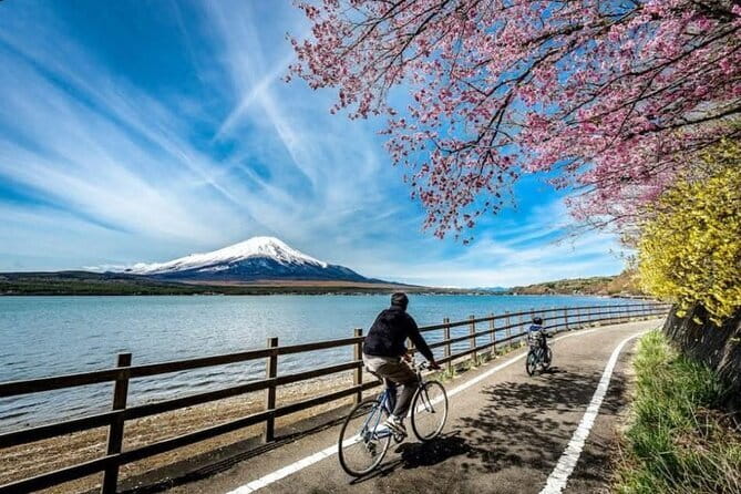 Mt fuji & Hakone customizable day tour w/ English speaking driver - Price and value: what $530 per group really buys