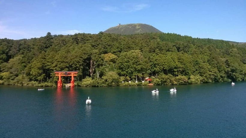 Mt.Fuji Hakone Day Tour With Lake Ashi Cruise, FREE Ropeway - Hakone Shrine: cedars, steps, and that torii photo with Fuji behind