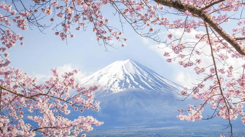 Mt.Fuji Hakone Day Tour With Lake Ashi Cruise, FREE Ropeway - Lunch reality: no lunch included, so plan your energy