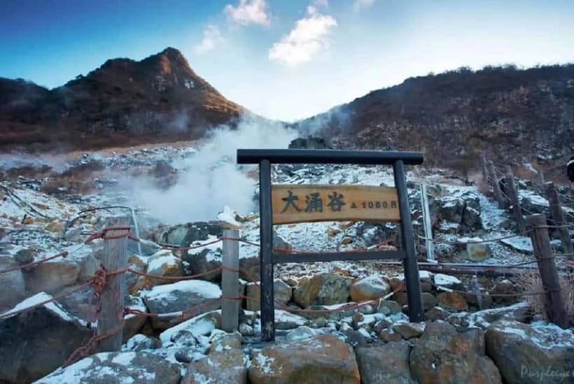 Mt.Fuji Hakone Day Tour With Lake Ashi Cruise, FREE Ropeway - Lake Yamanaka Swan Bay: calm water, swans, and Fuji if you’re lucky