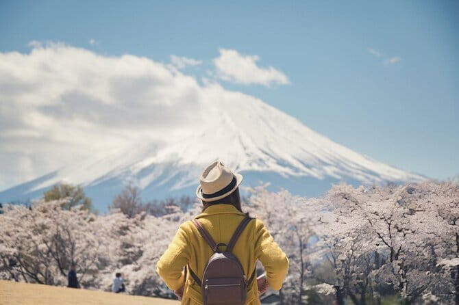 Mt. Fuji & Hakone Day Trip from Tokyo: Private English Driver - Price and Logistics: What You’re Paying for (and Why It Can Be Worth It)