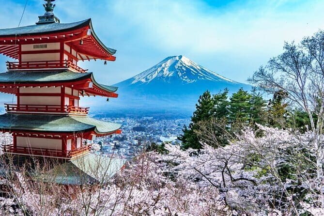 Mt. Fuji & Hakone Day Trip from Tokyo: Private English Driver - Shrine and Pagoda: Two Ways to See the Same Big View