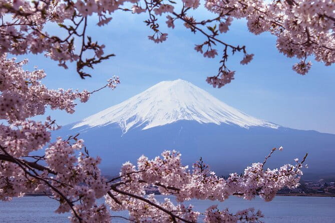 Mt. Fuji & Hakone Day Trip from Tokyo: Private English Driver - Optional Saiko Iyashi no Sato Nemba: Traditional Village Time (If You Have It)