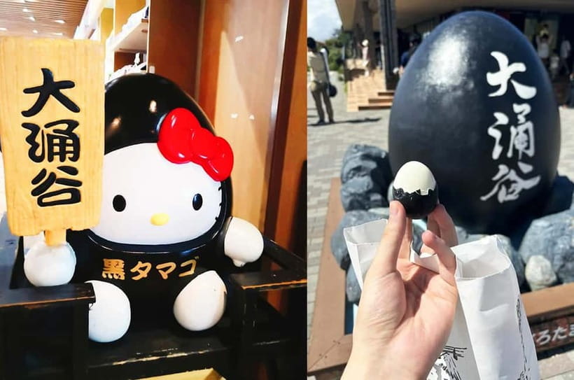 Mt Fuji Hakone/Enoshima Tour:Optional Ropeway/Lake Ashi Boat - Who should book this tour (and who should skip it)