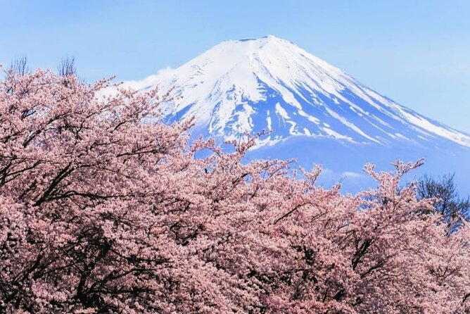 Mt. Fuji, Hakone Full-Day Private Tour with English Driver - Why this Fuji-and-Hakone day feels like good value