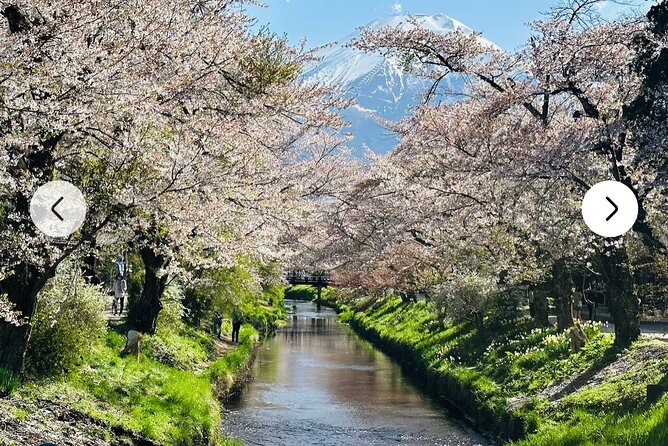 Mt. Fuji, Hakone Full-Day Private Tour with English Driver Guide - Price and what you’re really paying for (up to 7 people)