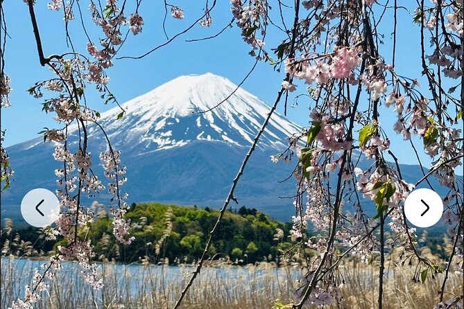 Mt. Fuji, Hakone Full-Day Private Tour with English Driver Guide - Oshino Hakkai: eight ponds from snowmelt water stories