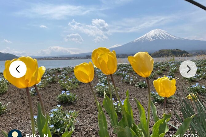 Mt. Fuji, Hakone Full-Day Private Tour with English Driver Guide - Hakone’s big mood: Owakudani steam, Lake Ashi torii, and shrine stops