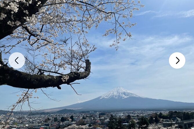 Mt. Fuji, Hakone Full-Day Private Tour with English Driver Guide - The Arakurayama viewpoint and the Chureito Pagoda photo lineup