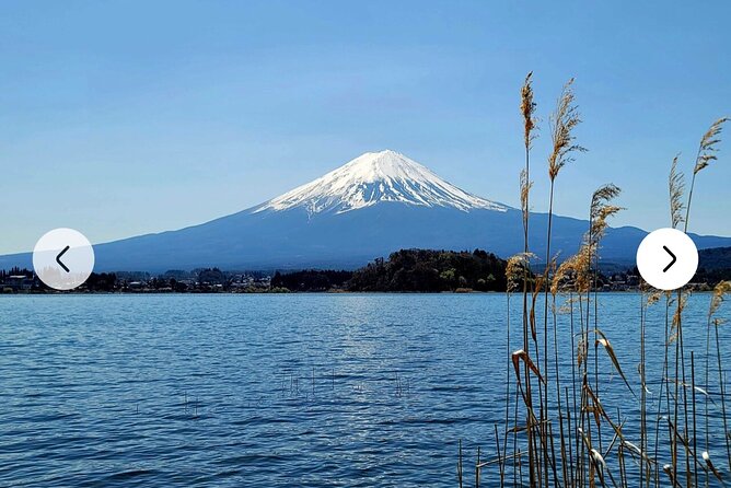 Mt. Fuji, Hakone Full-Day Private Tour with English Driver Guide - Saiko Iyashi-no-Sato Nenba and Fuji-Q Highland: traditional village and big thrills