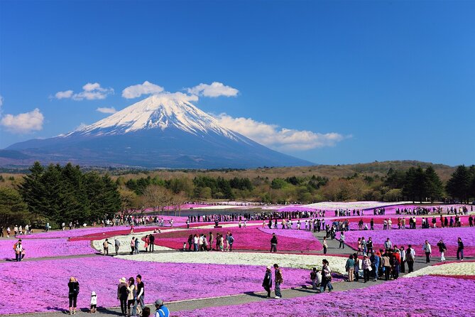 Mt. Fuji, Hakone Full-Day Private Tour with English Driver Guide - Your ride from Tokyo: comfort, timing, and how to use it