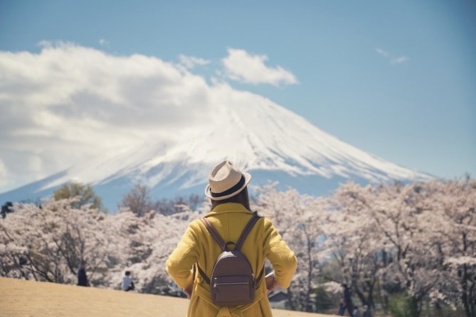 Mt. Fuji & Hakone Private Day Tour with English-Speaking Driver - Price and logistics: what $453.56 really covers