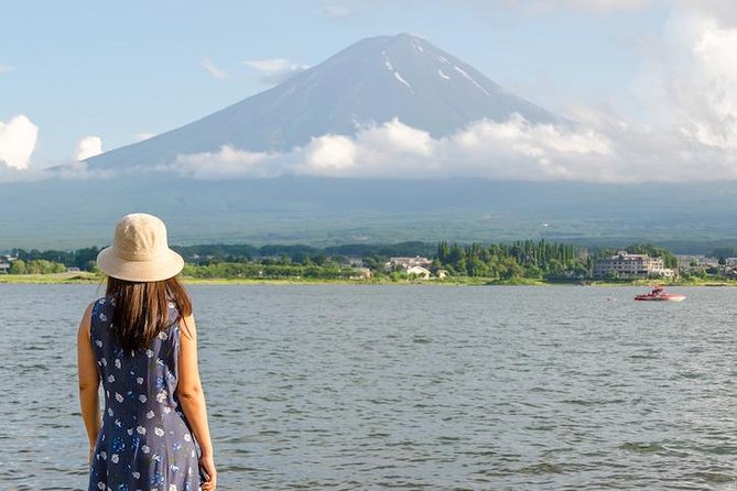 Mt. Fuji & Hakone Private Day Tour with English-Speaking Driver - Mount Fuji 5th Station: stunning if weather cooperates, tricky on certain dates