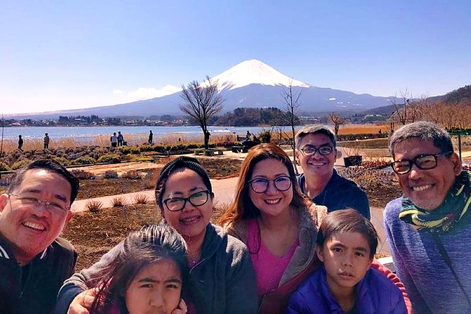 Mt. Fuji & Hakone Private Day Tour with English-Speaking Driver - Hakone Ropeway and views: a ride that’s both practical and scenic