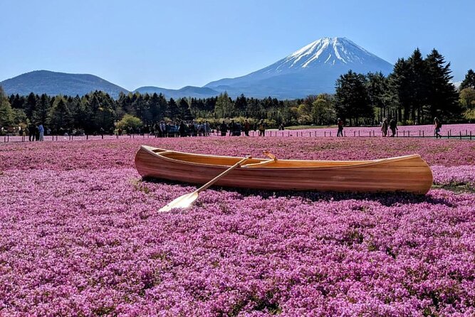 Mt Fuji, Hakone Private Tour by Car with Pickup - Stop 4: Oishi Park and Flower Seasons (Especially Lavender)