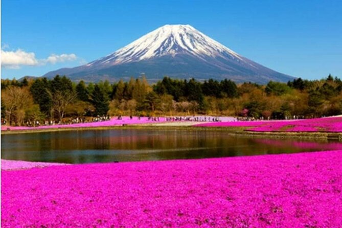 Mt Fuji, Hakone Private Tour by Car with Pickup - Stop 5: Owakudani and the Black Eggs at the Hot Sulfur Valley