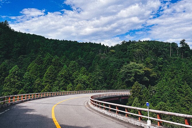 Mt. Fuji, Hakone Private Tour from Tokyo - Onsen, Arts and Nature - Mount Fuji Viewpoints: The Day’s Big Question Mark