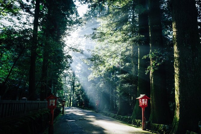 Mt. Fuji, Hakone Private Tour from Tokyo - Onsen, Arts and Nature - Amazake Chaya: A Short Old-Route Break That Feels Like a Story