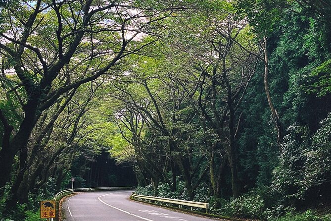 Mt. Fuji, Hakone Private Tour from Tokyo - Onsen, Arts and Nature - Onsen Time at Tenzan Tohji-kyo: Relaxation You Can Actually Plan For