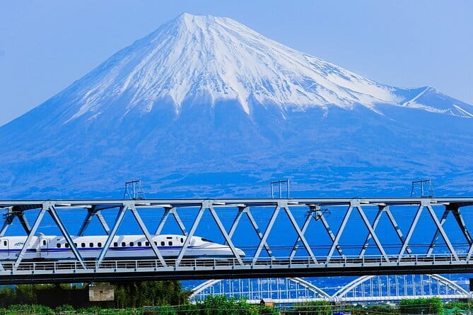Mt Fuji & Hakone Private Tour from Tokyo: Return by Bullet Train - Key highlights worth planning around