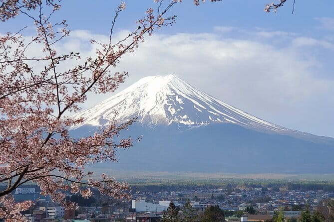 Mt Fuji & Hakone Private Tour from Tokyo: Return by Bullet Train - Oshino Hakkai and the Fuji Five Lakes loop: Yamanaka vs Kawaguchiko