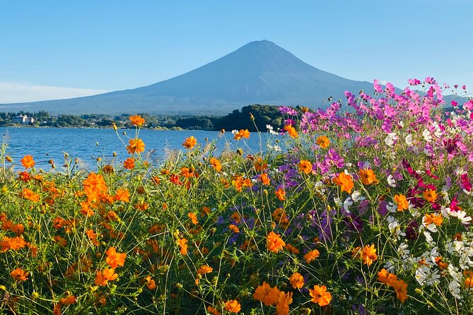 Mt.Fuji Hakone Private Tour with English Speaking Chauffeur - Saiko Lake and Saiko Iyashi no Sato Nenba: The Quieter Fuji-Side Finish