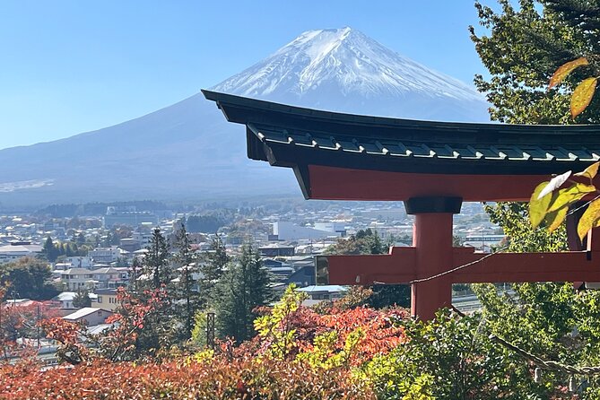 Mt.Fuji Hakone Private Tour with English Speaking Chauffeur - Price and Value: When $490 Makes Sense (and When It Might Feel Tight)
