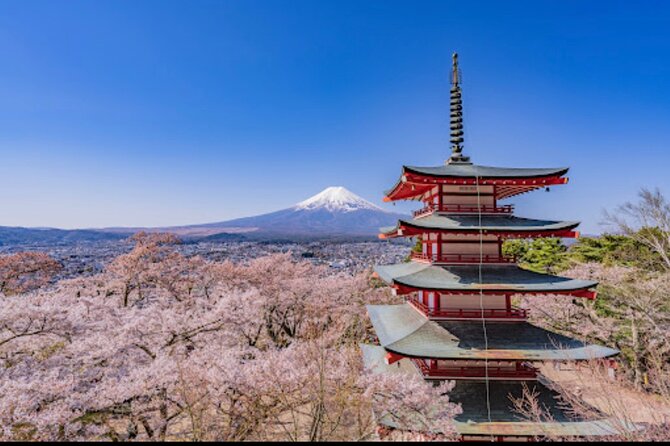 Mt.Fuji Hakone Private Tour with English Speaking Chauffeur - Lake Ashi (Hakone): Volcano-Soaked Views and an Included Cruise Time Window