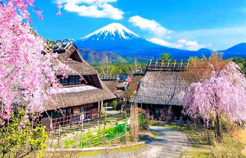 Mt. Fuji Heritage Tour: Traditional Villages, Lakes & Shrine - Key things I’d circle on your plan