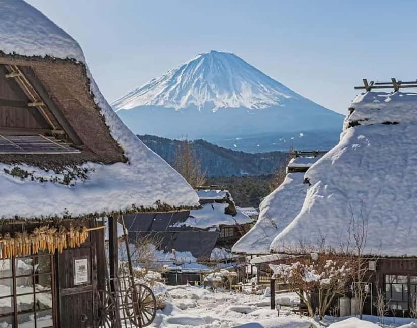 Mt. Fuji Heritage Tour: Traditional Villages, Lakes & Shrine - Lake Kawaguchi: Oishi Park and the Maple Corridor seasonal switch