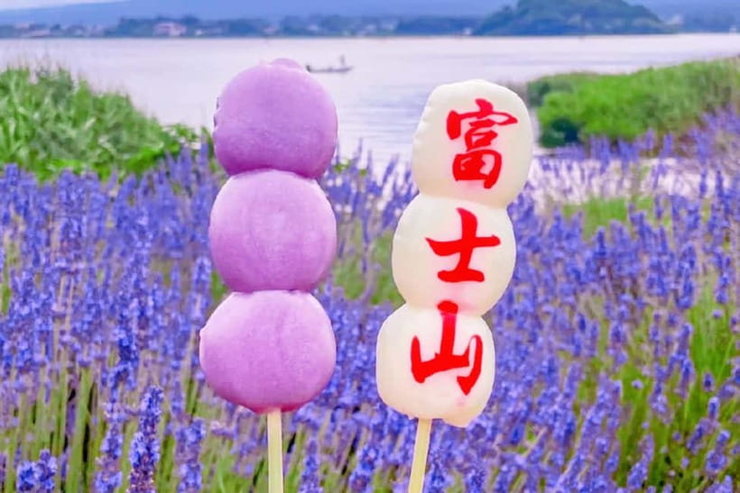 Mt. Fuji Heritage Tour: Traditional Villages, Lakes & Shrine - Oshino Hakkai: eight ponds with Fuji snowmelt reflections