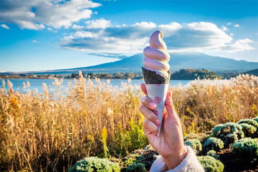 Mt. Fuji Heritage Tour: Traditional Villages, Lakes & Shrine - The lunch reality: plan ahead so it doesn’t slow you down