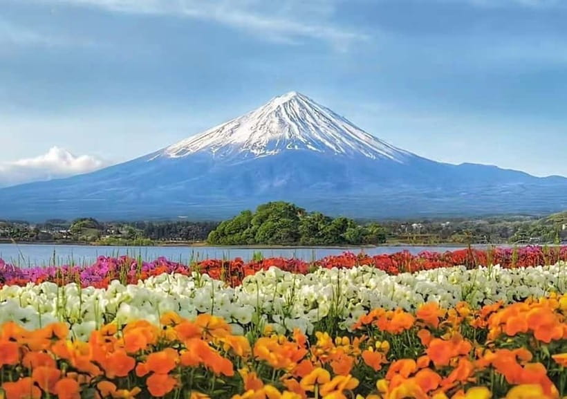 Mt. Fuji Heritage Tour: Traditional Villages, Lakes & Shrine - Who this tour suits best (and who should skip it)