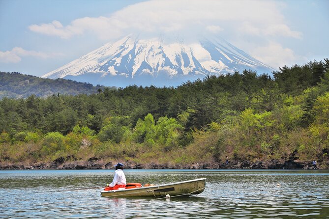 Mt. Fuji Highlight Photo Spots One Day Tour from Tokyo - Oishi Park: flowers in season, Fuji in the background