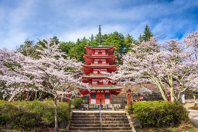 Mt. Fuji Highlight Photo Spots One Day Tour from Tokyo - Shiraito Waterfall: the thread-like cascade break in the action