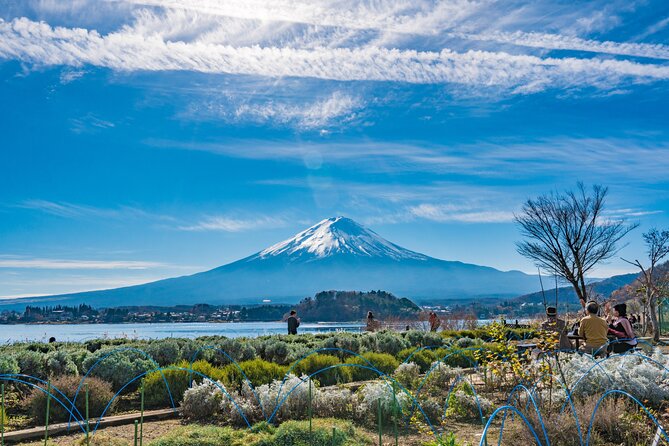 Mt. Fuji Highlight Photo Spots One Day Tour from Tokyo - Guides and the pace: why organization matters on a Fuji day