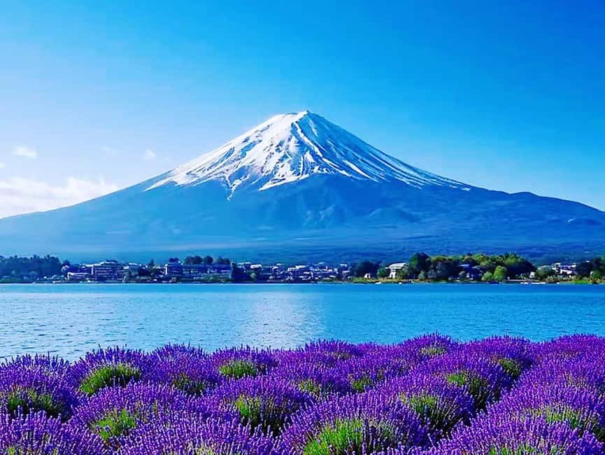 Mt. Fuji & Lake Kawaguchiko Ropeway Panorama Full-Day Tour - Who this Mount Fuji day trip suits best