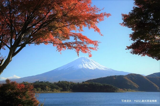 Mt. Fuji, Oishi Park & Arakurayama Pagoda Bus Tour with Lunch - From Shinjuku to Fuji: why a bus day trip actually works