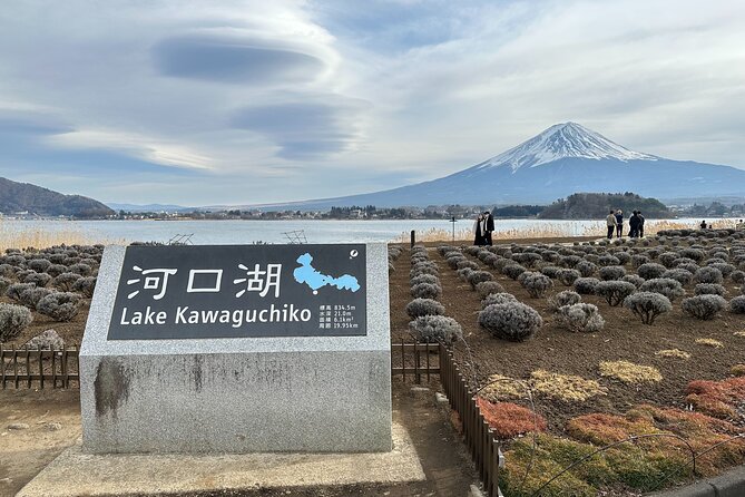Mt. Fuji, Oishi Park & Arakurayama Pagoda Bus Tour with Lunch - Oishi Park: a short stop with big visual payback