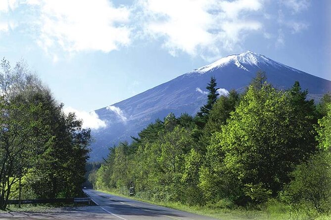 Mt. Fuji, Oishi Park & Arakurayama Pagoda Bus Tour with Lunch - Fujikawaguchiko area lunch: choose your meal style
