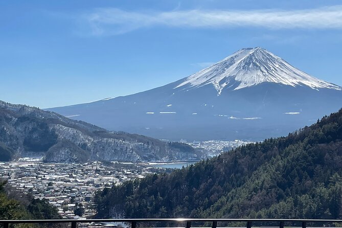 Mt FUJI - Panoramic Tour w/ Hoto Lunch, JP Sake & Onsen tatto OK! - Key Things That Make This Tour Worth Your Time