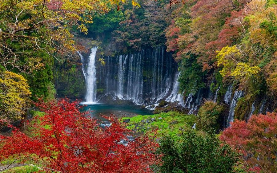 Mt Fuji : Private 10-Hour Luxury Tour by Exclusive Car - Mt. Fuji Viewpoint Strategy: Photos, Pass-By Routes, and How to Think About It