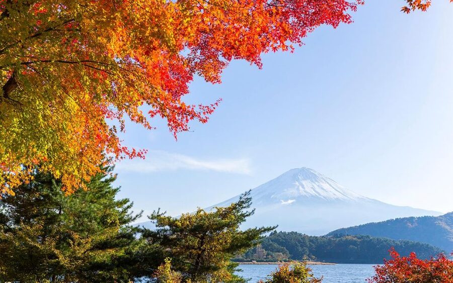 Mt Fuji : Private 10-Hour Luxury Tour by Exclusive Car - Shiraito Falls and Fuji Safari Park: Two Different Kinds of Nature