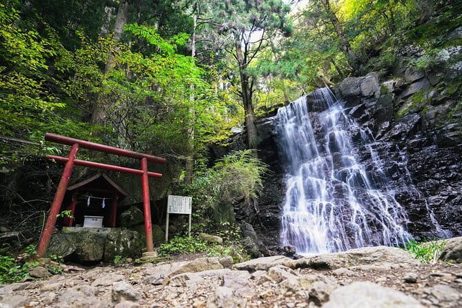 Mt. Fuji Private Chartered Tour with Nature and Wasabi Farm - Kikuchi Wasabi Farm: why this is more than a snack stop